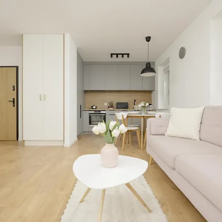 Διαμέρισμα Bright Pastel With Desk For Remote Work, Balcony And Parking By Renters Γκντανσκ